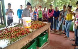 Alunos de Agricultor Orgânico fazem estudo de campo nos Tabuleiros Litorâneos