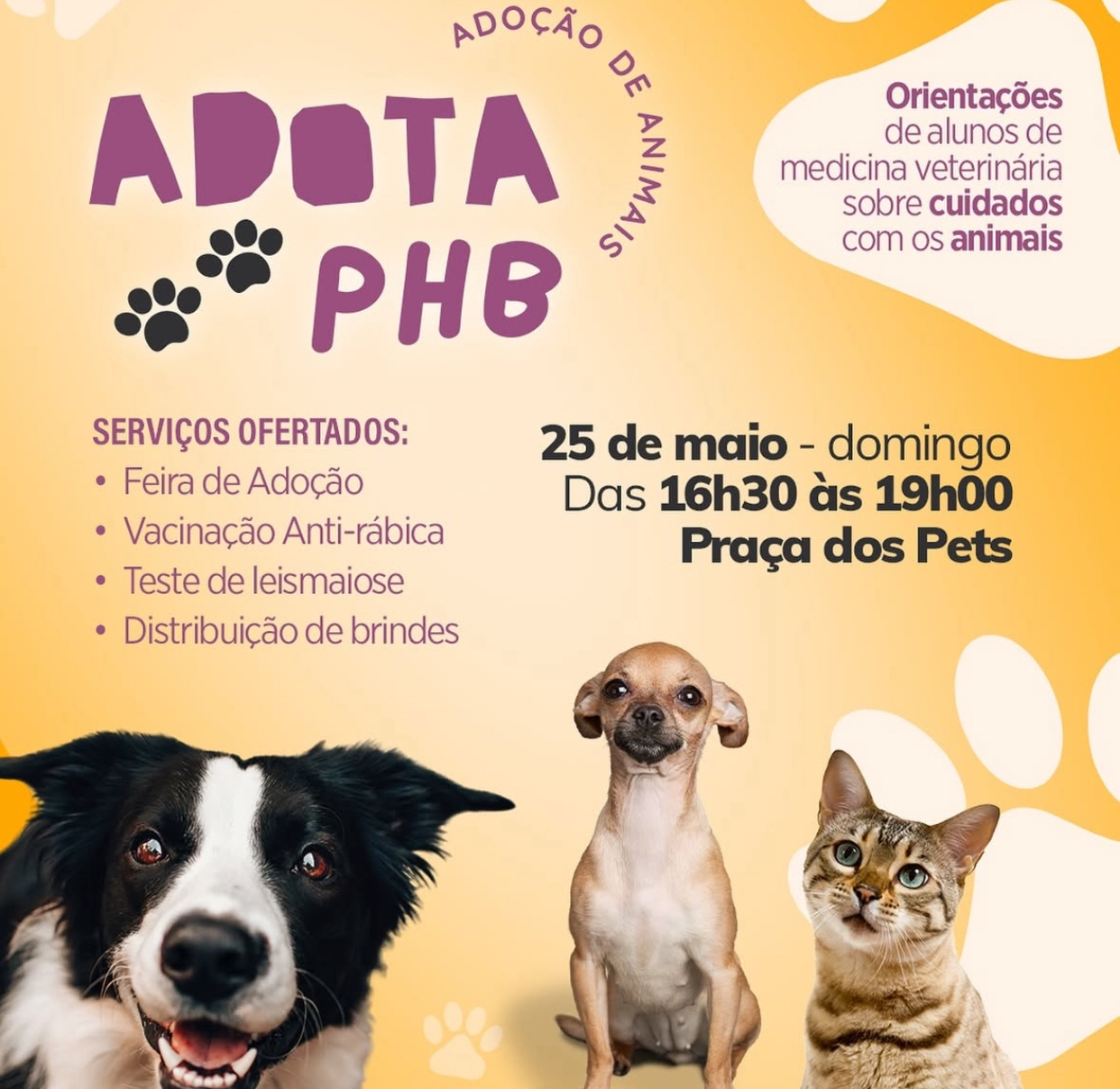 Prefeitura de Parnaíba promove ação de amor, responsabilidade e cuidados com os animais: “ADOTA PHB” Prefeitura de Parnaíba promove ação de amor, responsabilidade e cuidados com os animais: “ADOTA PHB”