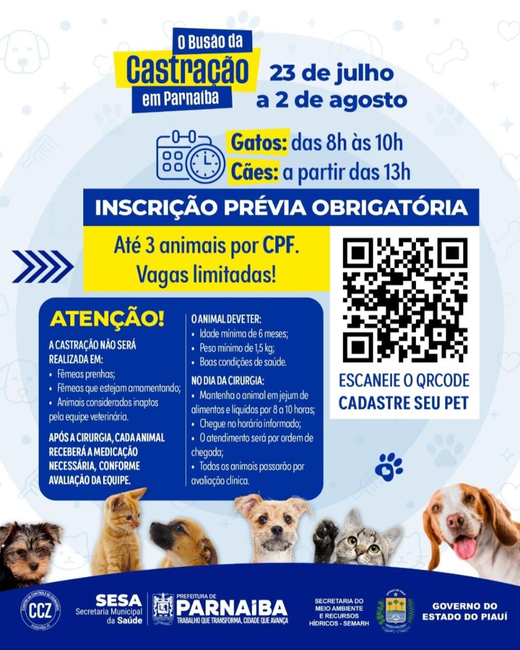busãocastraçãoparnaíba2.jpg